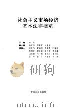 社会主义市场经济基本法律概览（1995 PDF版）