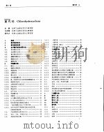 化工百科全书  氯  模（ PDF版）