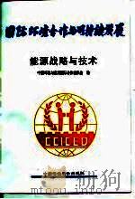 能源战略与技术 1998 PDF电子版封面 7801356330 中国环境与发展国际合作委员会编