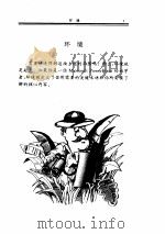 Power Point for windows95入门速成     PDF电子版封面    Stephen L.Nelsn 著 