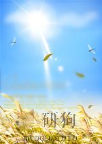 Microsoft Win 32程序参考大全（二）——系统服务、多媒体、系统扩展、应用程序须知（1995 PDF版）