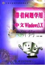 带着问题学用中文Windows 3.X   1998  PDF电子版封面  7801246713  王路敬编著 