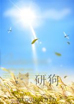 Internet Explorer4从入（ PDF版）