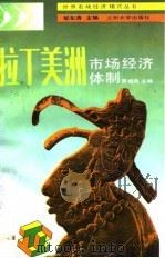 拉丁美洲市场经济体制 1994.03 PDF电子版封面 7311007054 贾根良主编