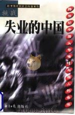 挑战失业的中国 跨世纪中国头号难题与国人的命运 1999 PDF电子版封面 7801275837 汪大海著