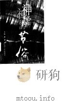 神秘的节俗：传统节日礼俗、禁忌研究（1994 PDF版）