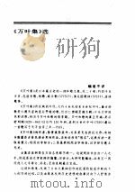 日本、东亚文学 PDF电子版封面