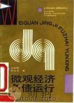微观经济负债运行   1993  PDF电子版封面  7805158371  韩文亮等著 