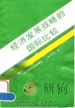 经济发展战略的国际比较（1993 PDF版）