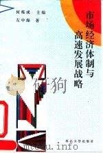 市场经济体制与高速发展战略（1993 PDF版）
