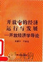 开放中的经济运行与发展  开放经济学导论（1993 PDF版）