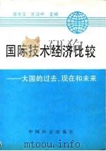 国际技术经济比较  大国的过去、现在和未来   1990  PDF电子版封面  7800880060  李京文，方汉中主编 