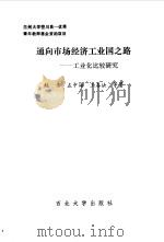 通向市场经济工业国之路  工业化比较研究   1993  PDF电子版封面  7560405592  赵伟等著 