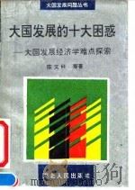 大国发展的十大困惑  大国发展经济学难点探索（1994 PDF版）