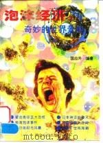 泡沫经济  奇妙的世界景观（1995 PDF版）