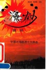 “爆炒”神州 中国市场经济十大热点扫描与透析 1994 PDF电子版封面 7500053207 谢志强,陈邦勋主编