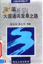 改革  大国通向发展之路（1994 PDF版）