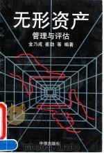 无形资产管理与评估   1995  PDF电子版封面  7800730891  金乃成等编著 