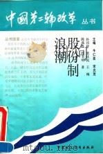 股份制浪潮 1992 PDF电子版封面 7500519605 孙祁祥等著