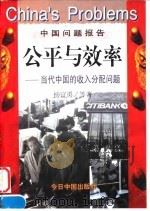 公平与效率  当代中国的收入分配问题   1997  PDF电子版封面  7507208915  杨宜勇等著 