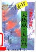 大热点·大沉思  94潮析95回眸（1995 PDF版）