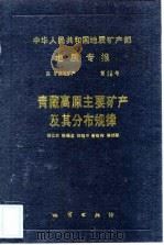 中华人民共和国地质矿产部地质专报 4 矿床与矿产 第20号 青藏高原主要矿产及其分布规律 1991 PDF电子版封面 7116008314 徐正余等编著