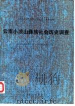 云南小凉山彝族社会历史调查   1984  PDF电子版封面  11116·98  《民族问题五种丛书》云南省编辑委员会编 