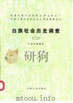 白族社会历史调查  3（1991 PDF版）
