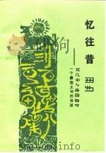 忆往昔 一个彝族土司的自述 1988 PDF电子版封面 7222001751 岭光电著