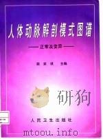 人体动脉解剖模式图谱 正常及变异 1998 PDF电子版封面 7117030488 姚家琪主编