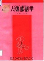 人体解剖学 1994 PDF电子版封面 7117020709 朱钦主编
