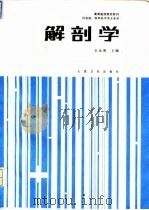 解剖学（1994 PDF版）