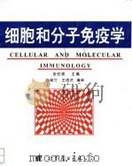细胞和分子免疫学 1995 PDF电子版封面 7030095782 金伯泉主编