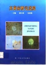 真菌病研究进展   1998  PDF电子版封面  7810600133  廖万清，吴绍熙主编 