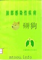 肺部感染性疾病 1996 PDF电子版封面 7562703299 何礼贤主编;王葆青等编写