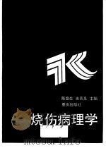 烧伤病理学   1993  PDF电子版封面  7536622252  陈意生，史景泉主编 
