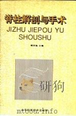 脊柱解剖与手术   1994  PDF电子版封面  7533113209  傅英魁主编 