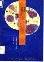 临床肿瘤细胞学检验 1994 PDF电子版封面 7533710452 王其生编著