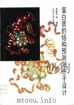 蛋白质的结构预测与分子设计 1993 PDF电子版封面 7301024061 来鲁华等编著