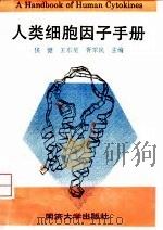 人类细胞因子手册   1996  PDF电子版封面  756081641X  侯健等主编 
