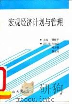 宏观经济计划与管理（1991 PDF版）