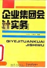 企业集团会计实务 1993 PDF电子版封面 7501723613 王焕良,王绪才编著