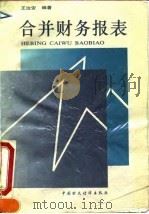 合并财务报表（1995 PDF版）