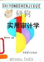 实用审计学 1990 PDF电子版封面 7800640760 陈仲祥