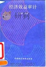 经济效益审计 1993 PDF电子版封面 7500520697 吕文基主编