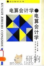 电算会计学   1993  PDF电子版封面  7530814125  王宝惠主编 