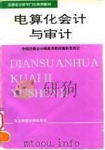 电算化会计与审计（1995 PDF版）