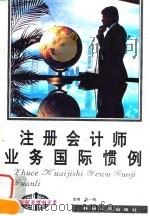 注册会计师业务国际惯例（1994 PDF版）
