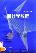 审计学教程 1997 PDF电子版封面 7542904752 陈力生主编