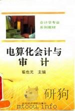 电算化会计与审计（1995 PDF版）